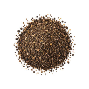 black pepper near me