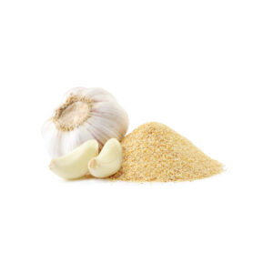 where to guy garlic powder